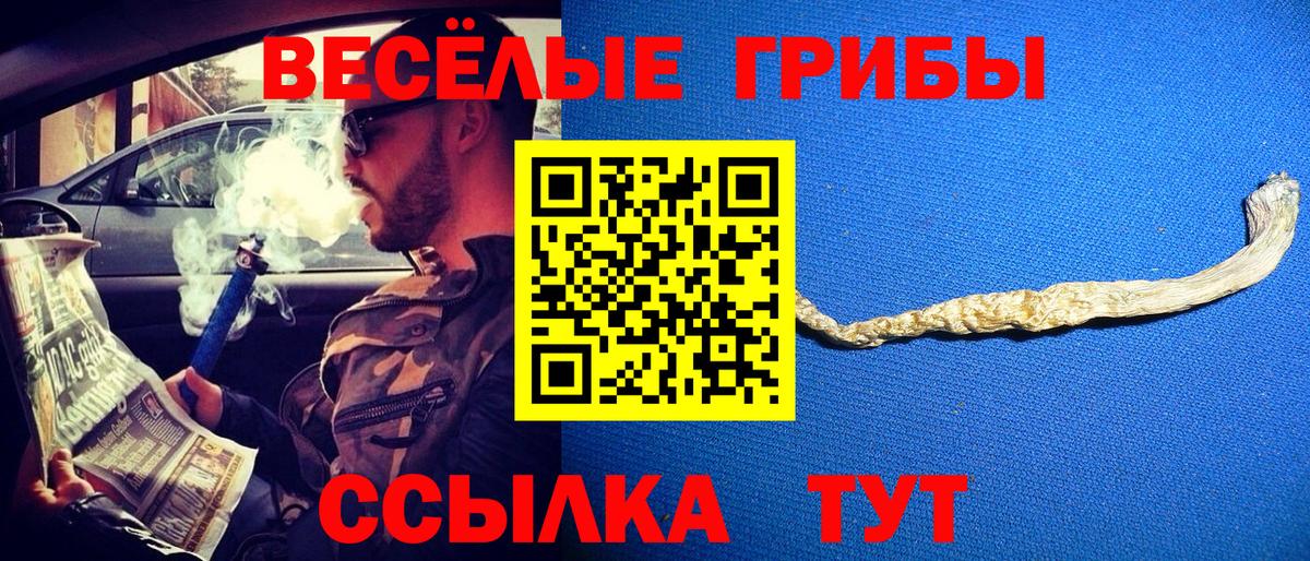 Галлюциногенные грибы MAGIC MUSHROOMS  Вход с VPN  Дзержинский  Псилоцибиновые грибы прущие грибы 